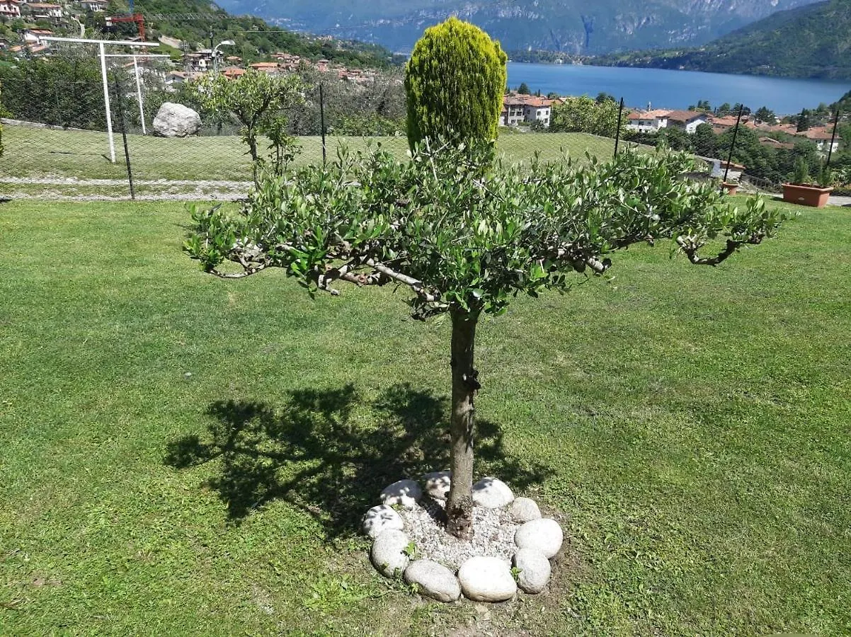 Casa di campagna B&B Garzola Ossuccio